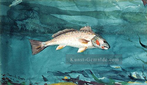 Kanal Bass Realismus Marinemaler Winslow Homer Ölgemälde